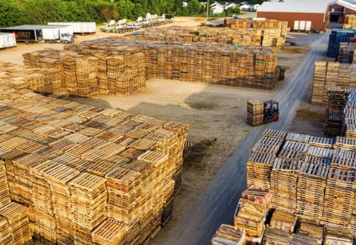 Ankara Palet Fiyatları 2025 Ahşap Palet Çözümleri (1) (1)